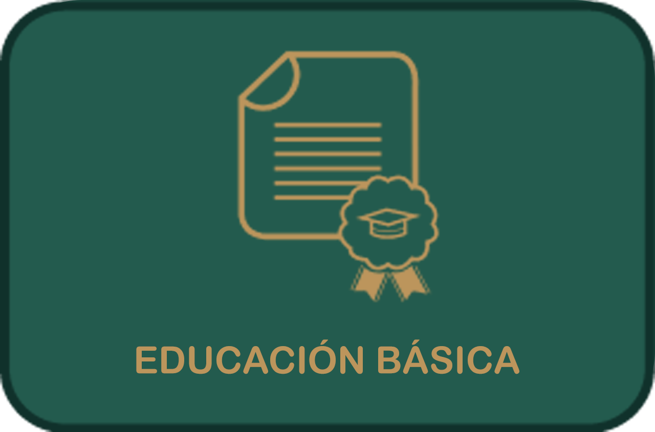 Educación Básica